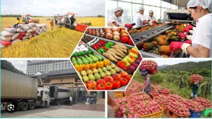 ဗီယက်နမ်မှ တင်ပို့သည့် လယ်ယာထွက်ကုန်များကို တင်သွင်းသည့်နိုင်ငံများမှ စိစစ်လျက်ရှိ