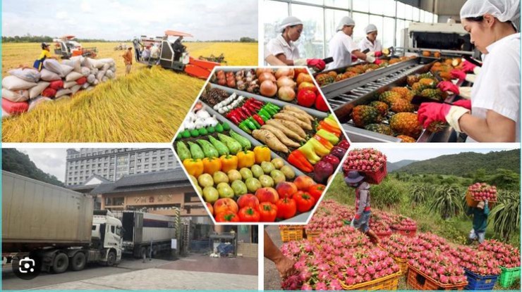 ဗီယက်နမ်မှ တင်ပို့သည့် လယ်ယာထွက်ကုန်များကို တင်သွင်းသည့်နိုင်ငံများမှ စိစစ်လျက်ရှိ