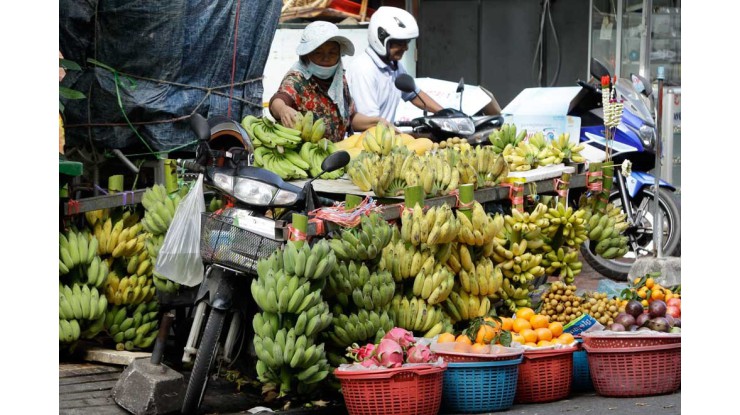 Korean investment targets agricultural exports