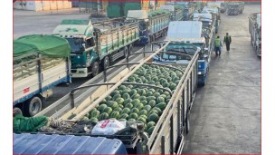 Myanmar’s fruit exports cross US$96M in 9 months