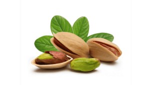 တူရကီနိုင်ငံမှ ပစ္စတာချိုအခွံမာသီး(pistachio)များကို (၂၀၂၃)ခုနှစ်အတွင်း နိုင်ငံပေါင်း (၉၆)နိုင်ငံသို့ ရောင်းချပေးခဲ့