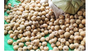 Cheap local pear sells better than imported pear