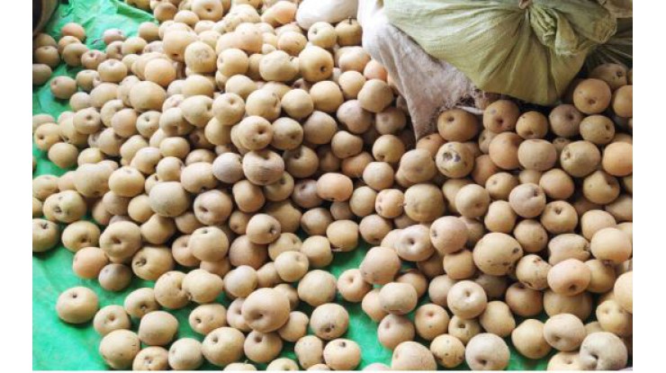 Cheap local pear sells better than imported pear