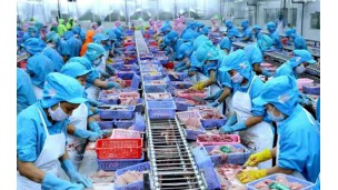 Rambutan in high demand in fruits market