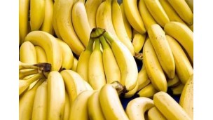 ‘Production, funding issues key to higher agriculture exports’