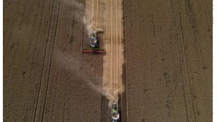 Ukraine;s wheat exports to drop to 10-year low, US Agriculture Department says