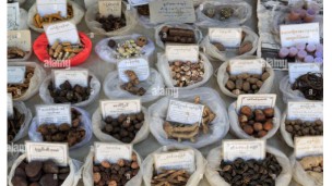 Innovative approaches to exploring Myanmar’s traditional medicines