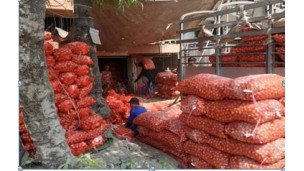 1,350,000 visses of onions from various towns enter Yangon market in first six days of May