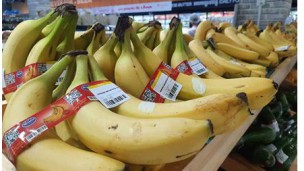 Cambodia bags $2.35 billion from agriculture exports