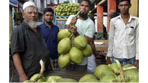 Thai and Bangladeshi buyers visit Myanmar for coconuts