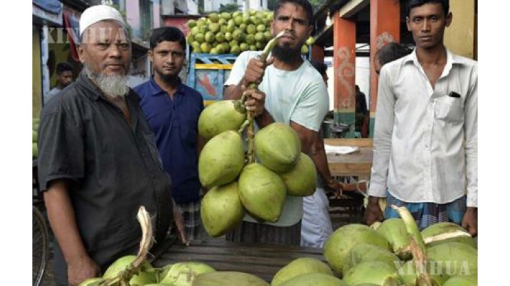 Thai and Bangladeshi buyers visit Myanmar for coconuts