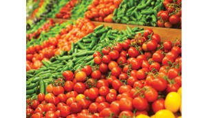 ﻿Mexico's agricultural exports see growth in early 2024