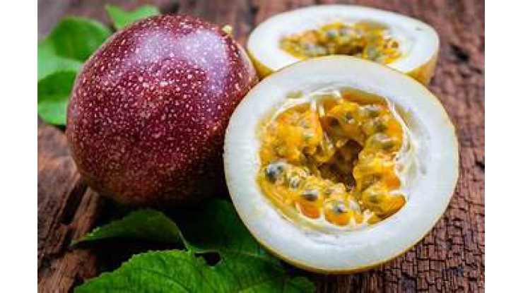 သြစတြေးလျ မြောက်ပိုင်းဒေသ တွင် ပင်မှည့်သီးထုတ်လုပ်မှု တိုးချဲ့