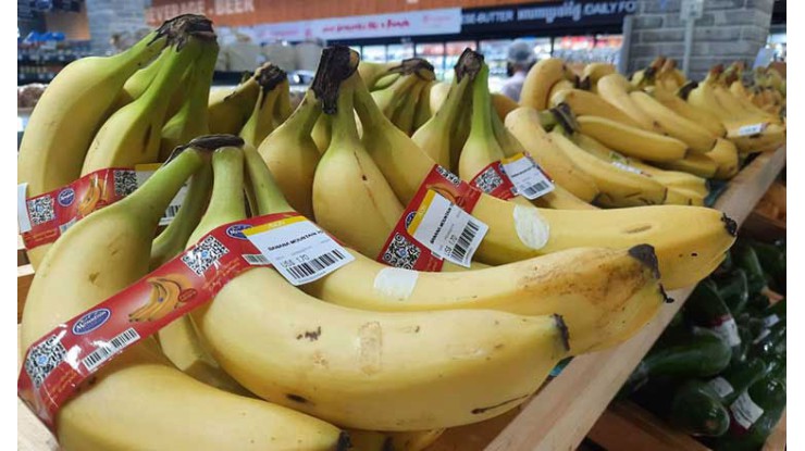Cambodia exports 11.6M tonnes of agri products, earns $4.8B
