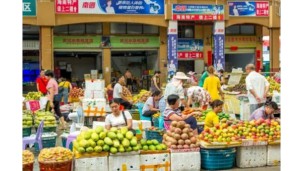 ZimTrade သည် တရုတ်သစ်သီးဈေးကွက်တွင် ဇင်ဘာဘွေတောင်သူများအတွက် အခွင့်အလမ်းများကို မီးမောင်းထိုးပြ