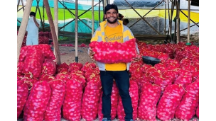 အိန္ဒိယနိုင်ငံသည် ယခင်နှစ်၏ ကြက်သွန်နီတင်ပို့မှု တန်ချိန် ၁.၁၅ သန်းထက် ယခုနှစ်တွင် ပိုမိုတင်ပို့နိုင်မည် "