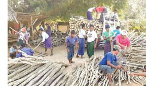 Myanma Thanaka showcased ahead of UNESCO submission