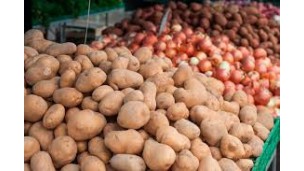 Bangladesh's potato exports rebound as lower prices boost global shipments