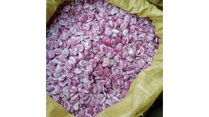 With high domestic consumption, dried butterfly bean receives overseas orders