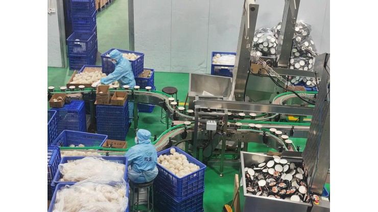 China's agri-exports take rural flavors global