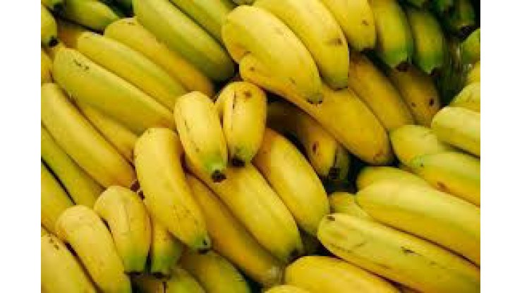 Philippines seeks to regain larger share of Japan's banana market with tariff proposals