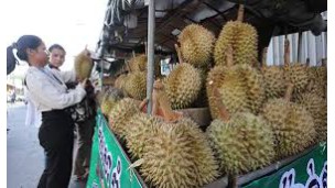 ကမ္ဘောဒီးယားနိုင်ငံသည် အစားအသောက်၊ ဘေးအန္တရာယ် ကင်းရှင်းရေးဆိုင်ရာ စံချိန်စံညွှန်း(SPS) များနှင့် ကိုက်ညီသော သစ်သီးဝလံများကို တရုတ်နိုင်ငံသို့ တင်ပို့မှု စတင်