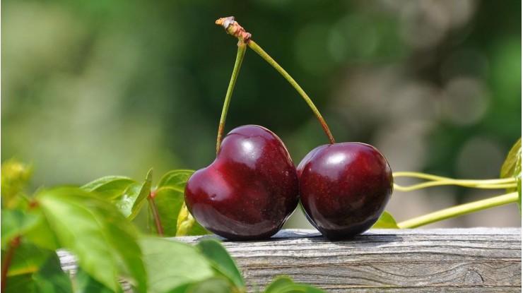 ဗီယက်နမ်နိုင်ငံတွင်  ချယ်ရီသီးတင်သွင်းမှုပမာဏ မြင့်တက်လာပြီးနောက် ချယ်ရီသီးဈေးနှုန်း များ ကျဆင်းလာ