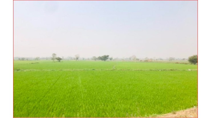 ၂၀၂၅-၂၀၂၆ ဘဏ္ဍာနှစ်အတွင်း နွေသီးနှံ ၇၃,၀၀၀ ဧကကျော်အား ဆည်တော်ကြီးဆည်မှ ရေပေးဝေမည်