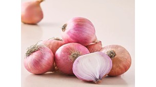 အိန္ဒိယနိုင်ငံရှိ ကြက်သွန်နီဈေးနှုန်းများ ထုတ်လုပ်မှုကုန်ကျစရိတ်ကျဆင်း