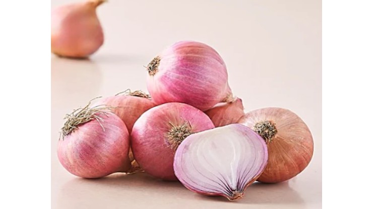 အိန္ဒိယနိုင်ငံရှိ ကြက်သွန်နီဈေးနှုန်းများ ထုတ်လုပ်မှုကုန်ကျစရိတ်ကျဆင်း