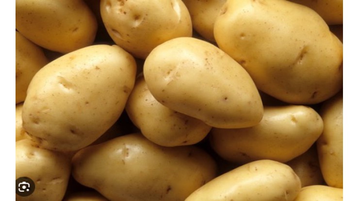 Kyrgyzstan ဈေးကွက်အတွင်း     တရုတ် အာလူးများ ဈေးနှုန်းချိုသာစွာ ဝင်ရောက်လာ