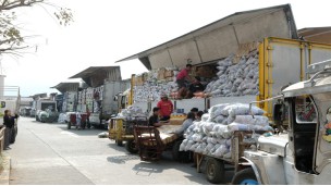 Benguet တွင် ဟင်းသီးဟင်းရွက် ပိုလျှံမှုကို လျှော့ချရန် Philippines က ထရပ်ကားများစေလွှတ်