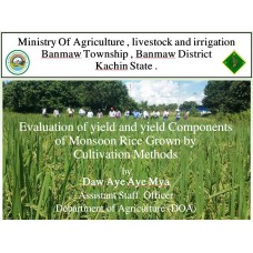 Evaluation of yield and yield Components of Monsoon Rice Grown by Cultivation Methods 