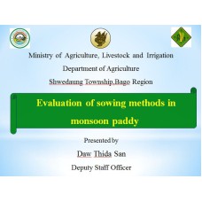 Evaluation of sowing methods in monsoon paddy