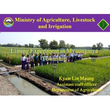 Liming Experiment in Myaungmya Township