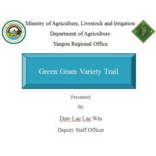 Green Gram Variety Trail