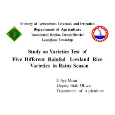 Study on Varieties Test  of  Five  Different  Rainfed   Lowland  Rice Varieties  in Rainy Season 