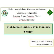 Post Harvest Technology in Monsoon Sesame 