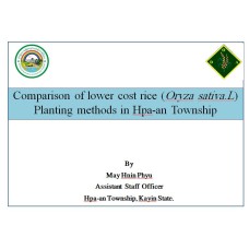 Comparison of lower cost rice (Oryza sativa.L) Planting methods in Hpa-an Township