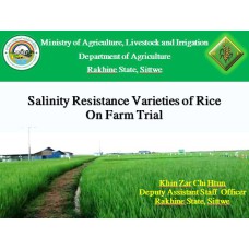 Salinity Resistance Varieties of Rice On Farm Trial