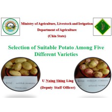 Selection of Suitable Potato Among Five Different Varieties  