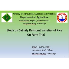 Study on Salinity Resistant Varieties of Rice On Farm Trial