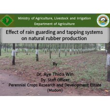 Effect of rain guarding and tapping systems  on natural rubber production
