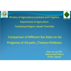 Comparison of Different Sex Ratio on Six Progenies of Oil palm, (Tenera×Pisifera)s