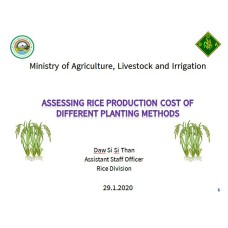 Assessing Rice Production Cost of Different Planting Methods