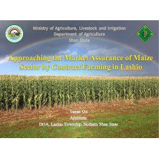 Approaching the Market Assurance of Maize Sector by Contract Farming in Lashio