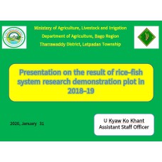 Presentation on the result of rice-fish system research demonstration plot in 2018-19