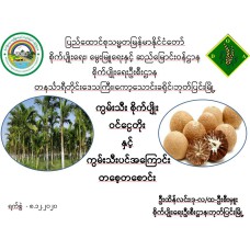 ကွမ်းသီးစိုက်ပျိုးဝင်ငွေတိုးနှင့်  ကွမ်းသီးပင်အကြောင်းတစေ့တစောင်း