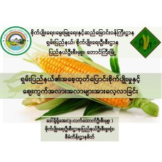 "ဒုတိယဆုရ တက်သစ်စပညာရှင်စာတမ်း" ရှမ်းပြည်နယ်၏အစေ့ထုတ်ပြောင်းစိုက်ပျိုးမှုနှင့် ဈေးကွက်အလားအလာများအားလေ့လာခြင်း