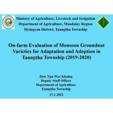 "နှစ်သိမ့်ဆုရ တက်သစ်စပညာရှင်စာတမ်း" On-farm Evaluation of Monsoon Groundnut  Varieties for Adaptation and Adoption in  Taungtha Township (2019-2020)